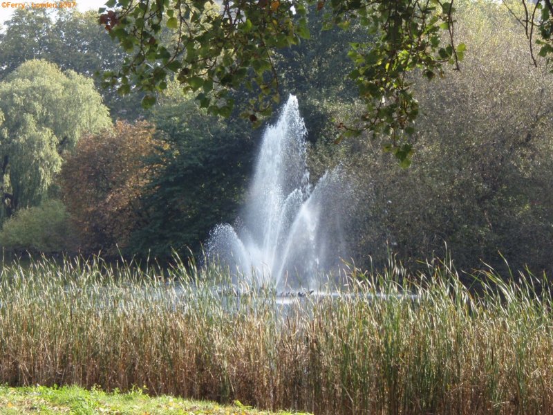 geennatuurgebiedindepoldermaareenreservaatinlonden.jpg